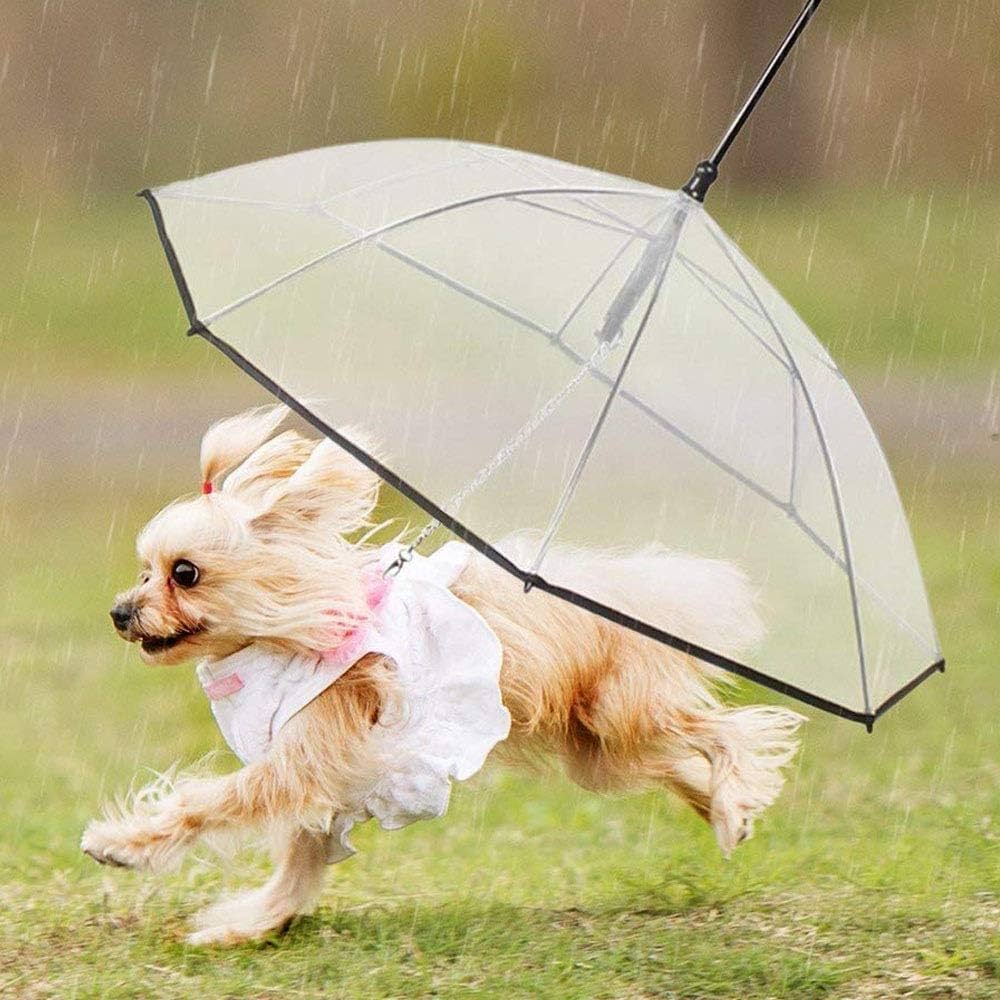 Dog Umbrella