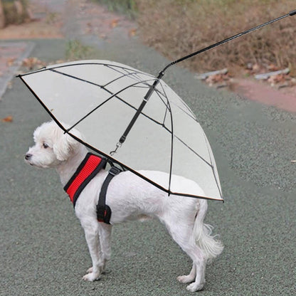 Dog Umbrella