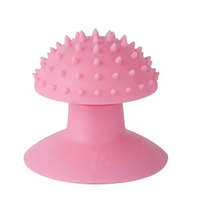 Massage Brush