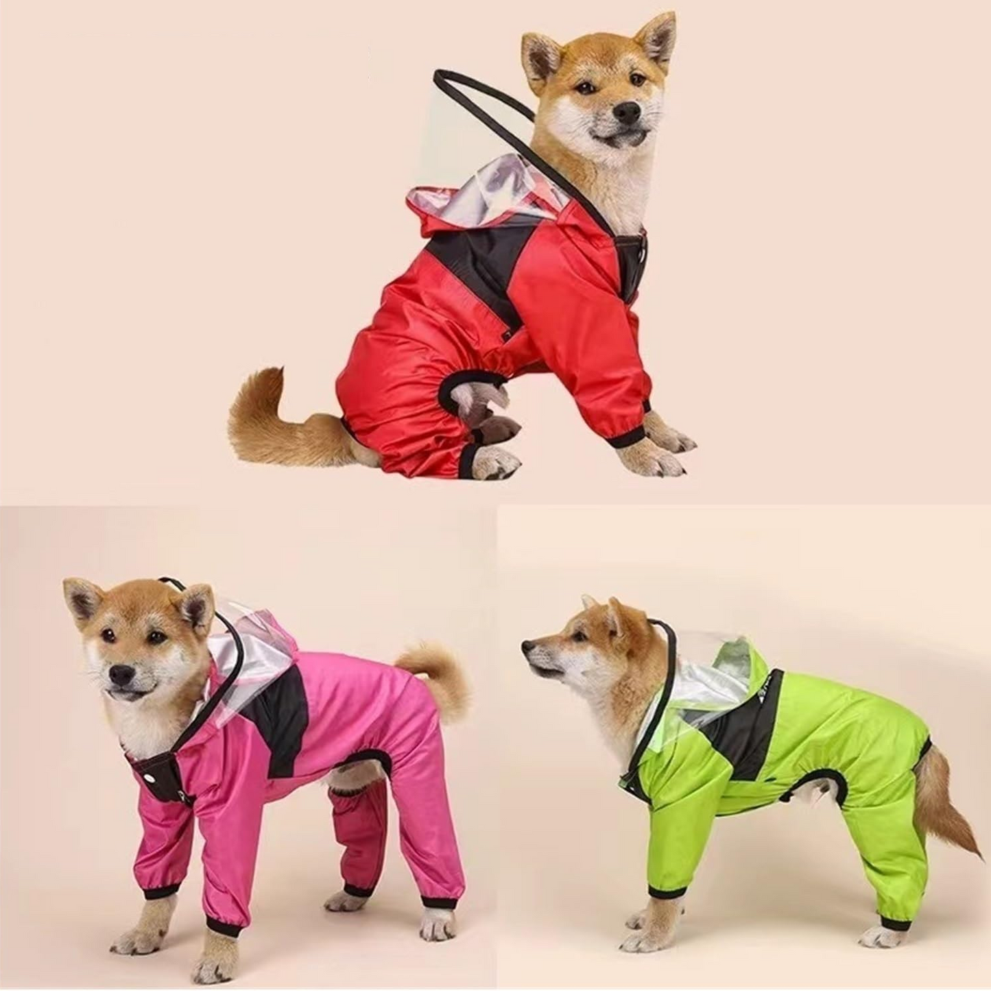 Puppy Rain Jacket