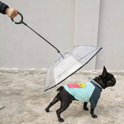 Dog Umbrella