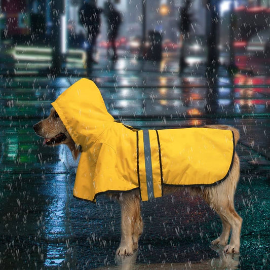 Waterproof Raincoat