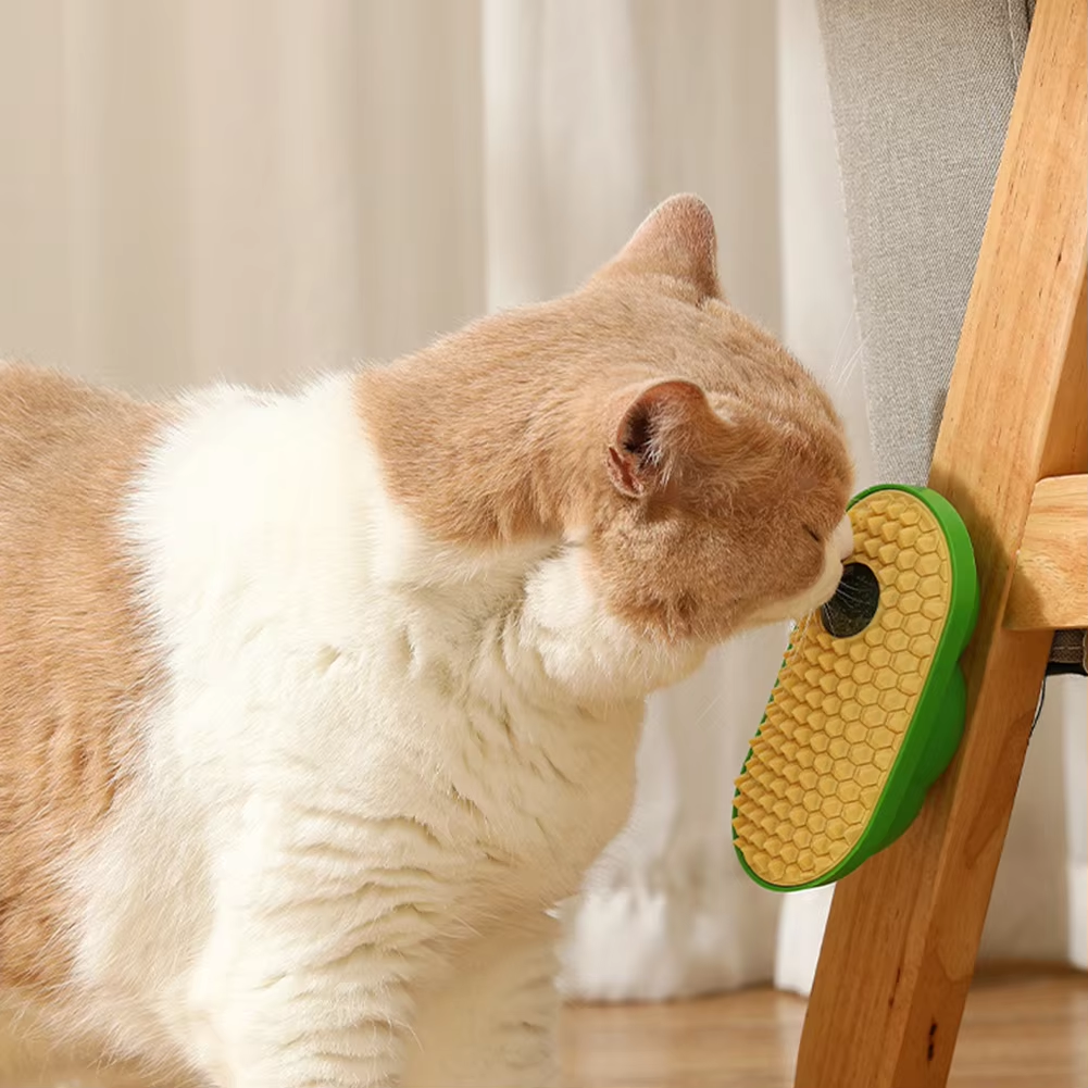 Wall Scratcher