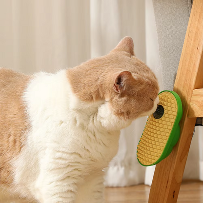 Wall Scratcher