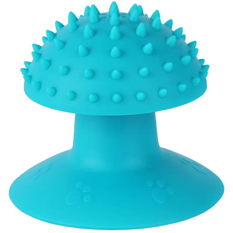 Massage Brush