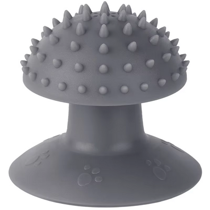 Massage Brush