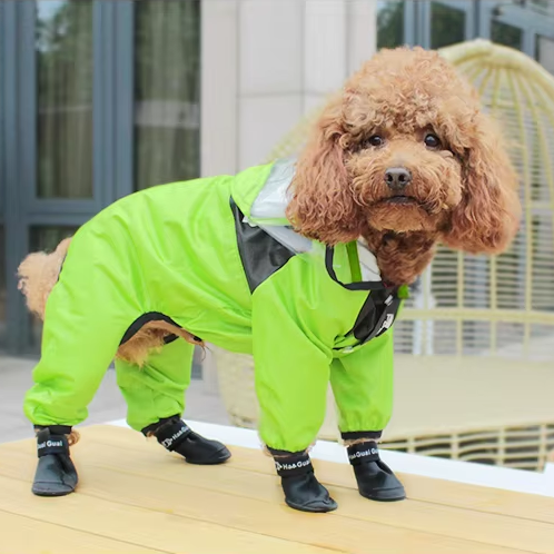 Puppy Rain Jacket